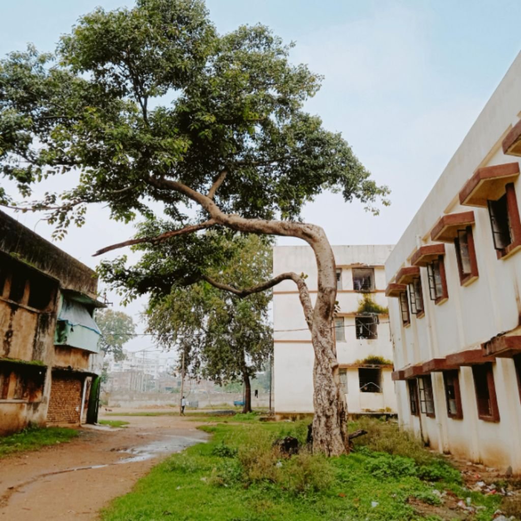 Best gemstone shop in rishra