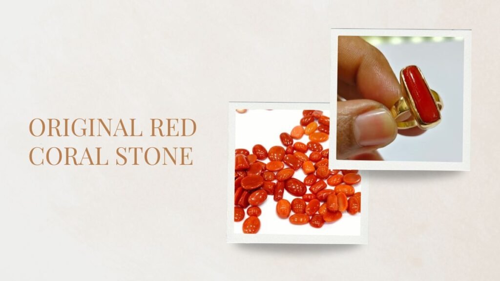 Original Red Coral Stone